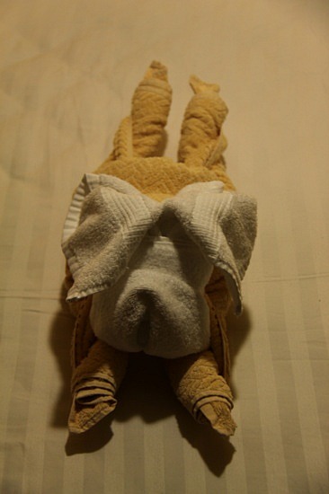 1.1243224360.good-nightx