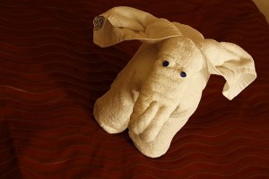 2.1268694491.towel-animal---elephant