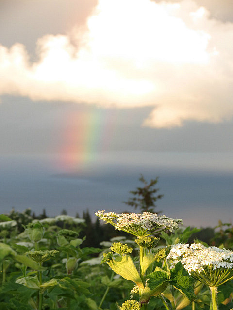 4.1341849366.lj-s-late-night-photo-expedition-paid-off